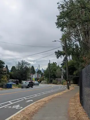 A sidewalk runs beside a black chain-link fence and a curving road with a painted bike lane, past parked cars, wheelie bins and houses, toward tall city towers on the horizon under grey cloud.