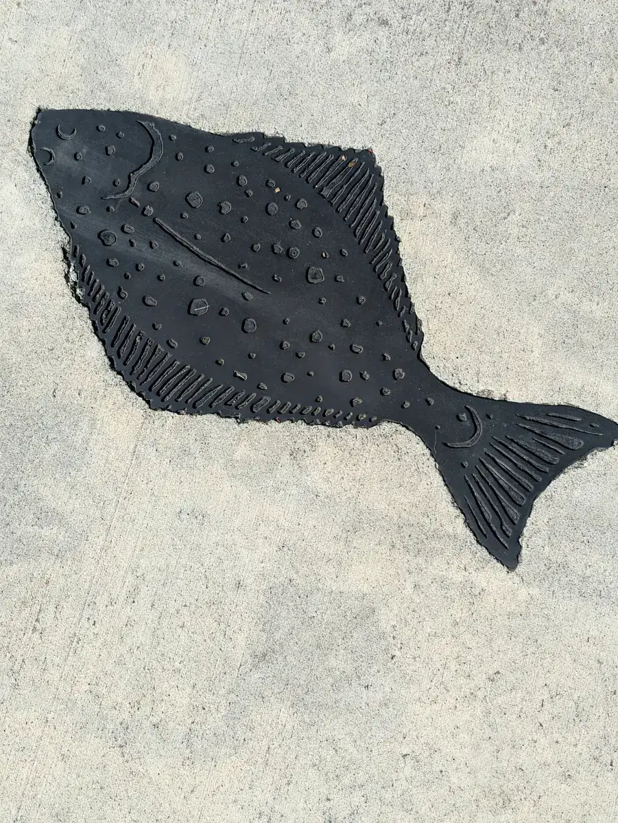 A halibut cast in dark metal and set flat into a pale concrete sidewalk.
