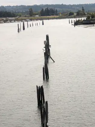 Rows of broken, blackened wooden pilings stand in silvery water, one carrying a sign reading Slow No Wake Zone, with a dark long-necked bird at its foot and small boats moored along the far bank.