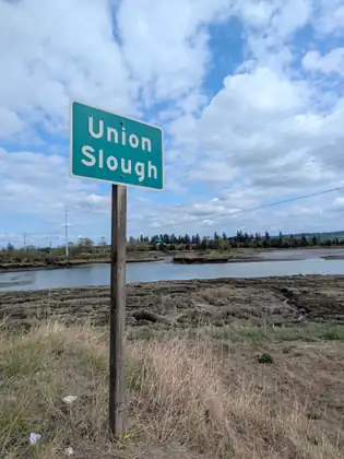 A green sign reading Union Slough on a wooden post in dry grass, with tidal mudflats, a channel of water and a line of trees beyond under power lines and a cloudy blue sky.