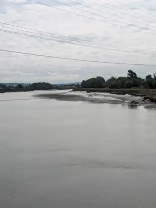 Calm grey water fills the foreground beneath power lines, with a muddy bank and a line of leafy trees along the right and a flat, distant shore under a pale cloudy sky.