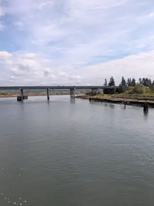 Calm grey-green water stretches towards a low concrete highway bridge on tall pillars, with a muddy bank, a few old pilings and tall evergreens on the right under a pale cloudy sky.