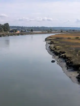 A calm channel curves away between a muddy bank lined with golden marsh grass on the right and a far bank of old pilings, low buildings and trees, with wooded hills on the horizon.