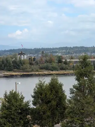 Evergreen treetops in the foreground frame a river, with white silos and black tanks of an industrial yard on the far bank, an American flag flying above them and houses on a wooded hill beyond.