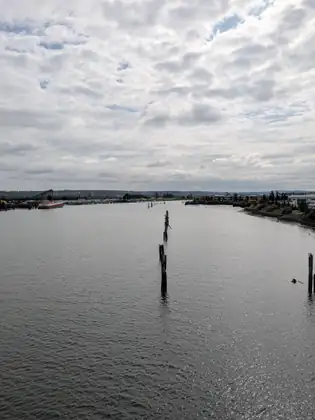 A wide grey river under a sky of broken white cloud, a few old wooden pilings standing in the water and, on the distant left shore, a red-and-white barge heaped with wood chips beneath a long conveyor.