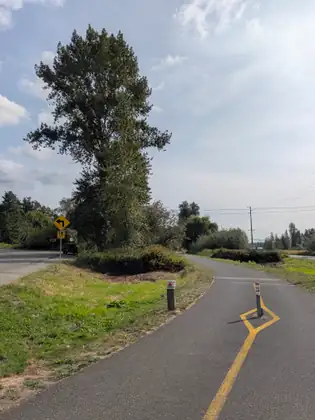 A paved trail curving away under a wide, pale sky, with a striped metal bollard inside a painted yellow diamond in the middle of the path and a tall tree beside a road with a turn sign marked 15 MPH.