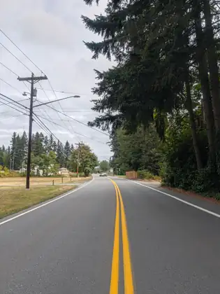 A two-lane road with a double yellow centre line running ahead between dry grass and tall evergreens, with power lines along the left side and a single car approaching in the distance.