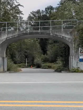 A paved trail passing under a tall concrete arch, with trees and undergrowth crowding both sides.