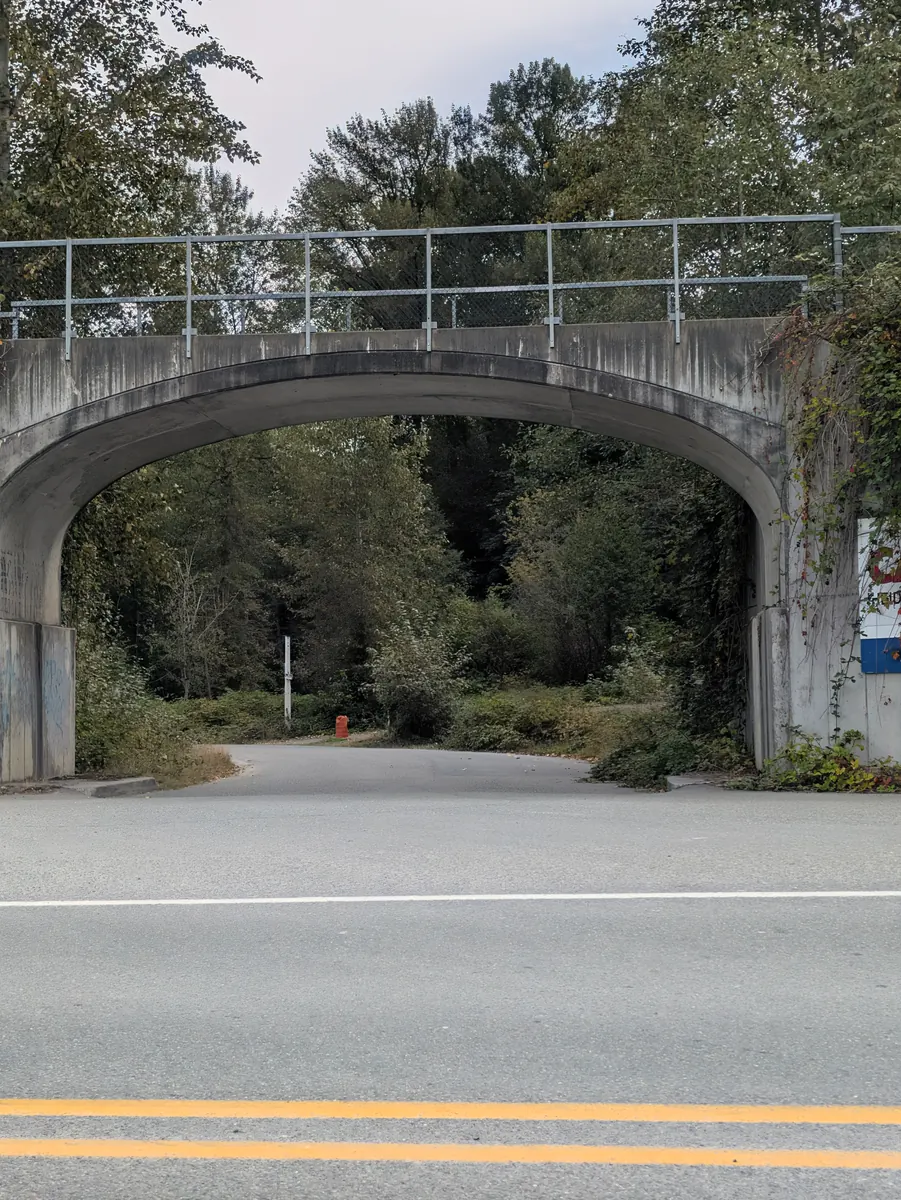 A paved trail passing under a tall concrete arch, with trees and undergrowth crowding both sides.