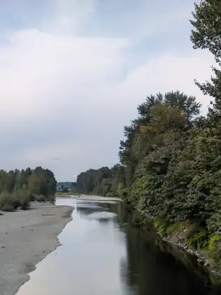 A river running away into the distance between a wide grey gravel bar on the left and a steep bank of tall trees on the right, under a pale cloudy sky.