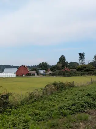 A red gambrel-roofed barn and a cluster of farm buildings beyond a wide green field, with a stack of white-wrapped bales on the left and a big pale sky above.