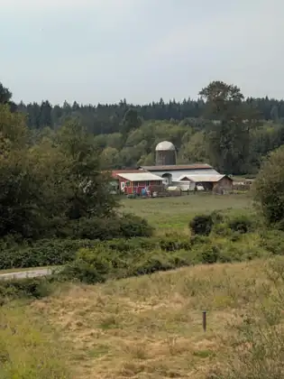 A cluster of red farm buildings and a tall silo with a domed cap, beyond a fenced pasture and a slope of dry grass, with dark forest behind.