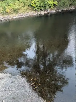 Clear, shallow river water seen from above, pebbles showing through it beside a pale gravel bar, with tree reflections rippling across the surface and a rocky bank at the top.