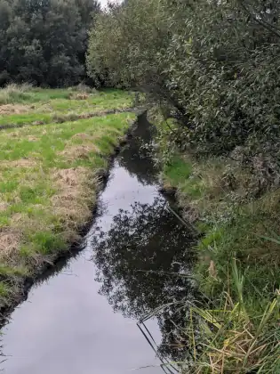 A narrow channel of dark, still water winding between grass banks, the trees on the far side reflected in it.