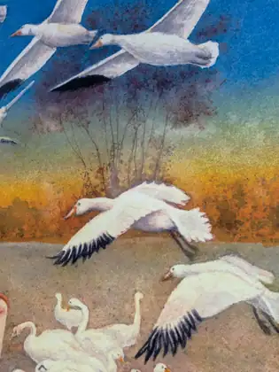 A painting of white birds with black wingtips flying low over pale brown ground, beneath a blue sky that fades to gold and orange behind bare reddish-brown trees, with a group of long-necked white birds gathered on the ground below.