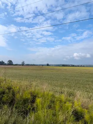 Rough grass in the foreground giving way to flat Skagit farmland, a power line crossing a wide blue sky.