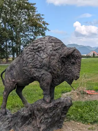 A dark bronze bison standing on a rock in a green field, with trees and a distant ridge behind it.