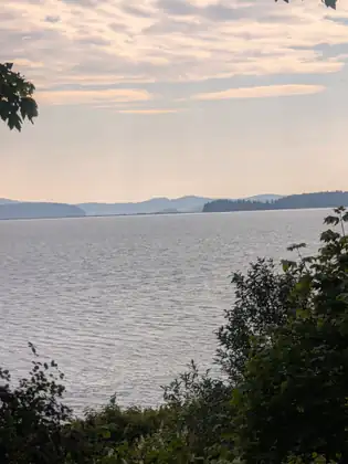 The bay and its islands framed by the branches of a tree at the roadside, the sky pale above the water.