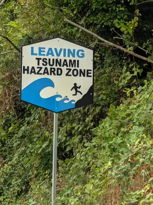 A blue and white roadside sign reading Leaving Tsunami Hazard Zone, half surrounded by summer greenery.