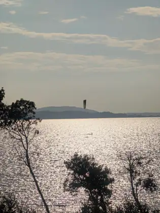 Late sun turning the bay to silver, with dark trees in the foreground and a tower on the far shore.