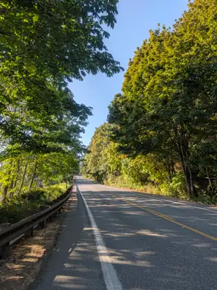 A two-lane road curving away downhill under a canopy of trees, a metal guardrail along the outside of the bend.