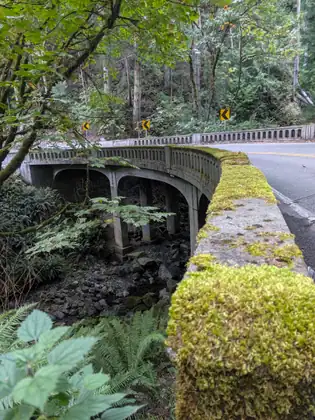 A concrete road bridge seen from above, its arch and parapet thick with moss and ferns, the road curving away beyond it.