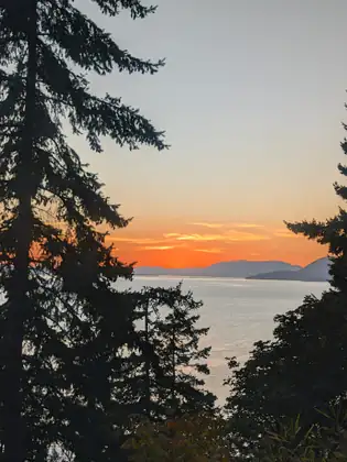 Orange light fading over the bay, seen between the black silhouettes of firs on the bluff.