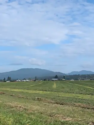 A freshly mown hayfield striped with cut rows running toward farm buildings, a blue silo and scattered black and white cattle, with a forested mountain ridge under a sky of broken cloud.