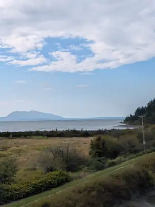 A large rounded island rising across the bay behind a beach lined with old wooden pilings, seen over scrubby marsh and a grassy embankment path with a utility pole at the right.