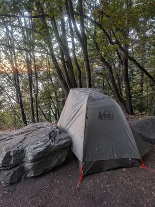 A gray dome tent printed with the REI co-op logo pitched tight against a large boulder on bare ground, slender trees behind it and a glow of sunset showing between the trunks.