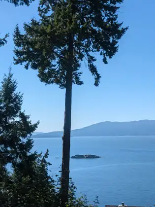 A wooded island out in the blue bay, with a mountain ridge on the far shore.