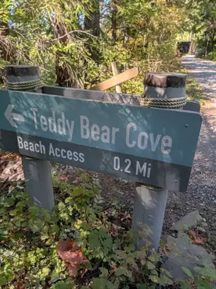 A wooden trail sign reading Teddy Bear Cove, Beach Access, nought point two miles.