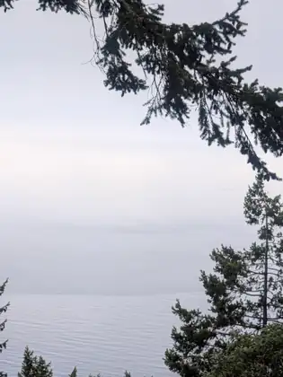 Fir boughs hanging down into the frame above calm gray water far below, the sea fading into a pale, misty sky.