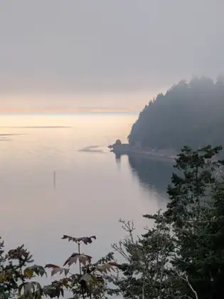 A wooded headland running out into a still bay, everything soft with morning mist.