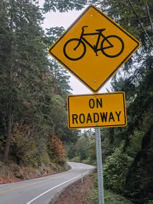A yellow road sign showing a bicycle above the words ON ROADWAY, where the highway curves away downhill through trees.
