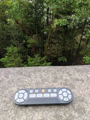 A grey handheld remote control left sitting on a concrete parapet, forest behind it.