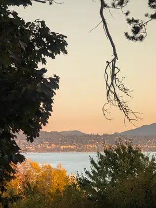 Evening light through a gap in the trees: the bay, a hillside town along the far shore and hills beyond, under an orange sky.