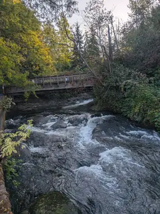 Whatcom Creek running white over rocks beneath a wooden footbridge, the trees just starting to turn.
