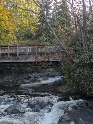 The same wooden footbridge from lower down, the creek breaking over a ledge of dark rock beneath it.