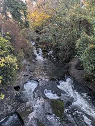 Whatcom Creek running down a steep-sided channel, a small cascade over mossy rocks upstream and white water pouring over smooth, potholed dark rock in the foreground.