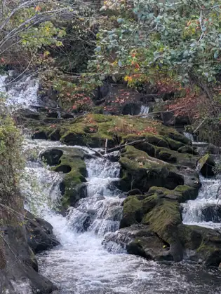 Water spilling down a staircase of moss-covered rocks under overhanging branches.