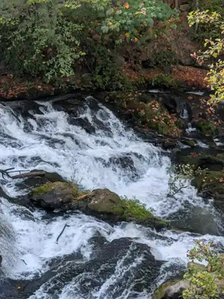 A broad cascade of white water tumbling over mossy boulders.