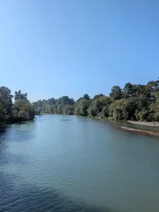 The broad Nooksack River under a clear sky, trees lining both banks.