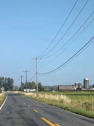 A country road with power lines running alongside it, towards farm buildings and grain silos.