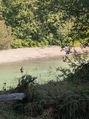Through the trees, a pale green river with a sandy gravel bar and an angler standing in the water.