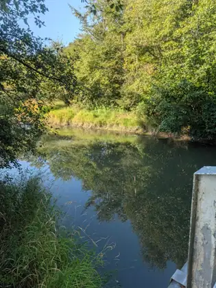 Silver Creek seen from a bridge, the still water reflecting trees and grassy banks.