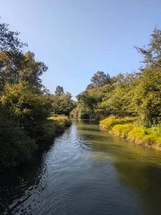 Silver Creek winding away between green banks under a clear sky.