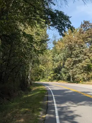 A country road curving away between tall trees in full leaf under a blue sky.