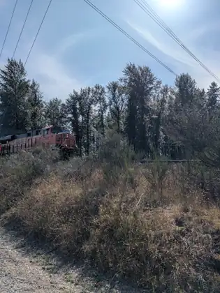 An orange freight locomotive half hidden behind dry brush beside the tracks, power lines overhead.