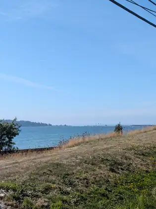The bay from a grassy bank, a low wooded shoreline across the water.
